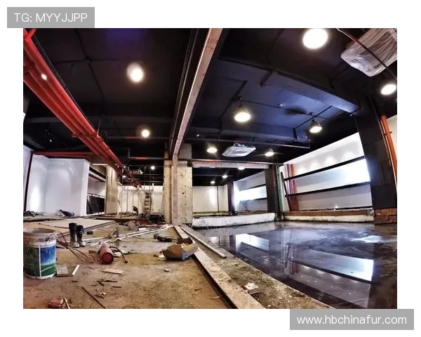 深圳街舞队整体表现分析及其在比赛中的优势与不足探讨