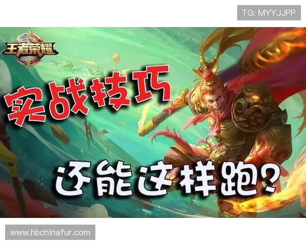 科学王者荣耀状态训练方法探究与实战应用技巧分享