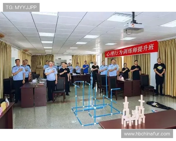 北京篮球队心理素质分析与提升策略探讨